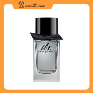 Nước Hoa Nam Mr Burberry EDT